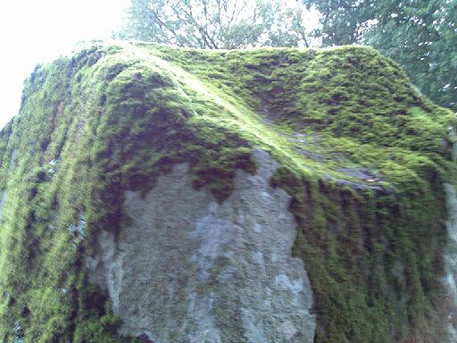  Mossy Standing Stone 